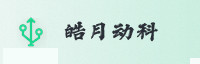 合作伙伴